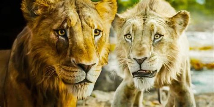 Are there two Lion King movies?