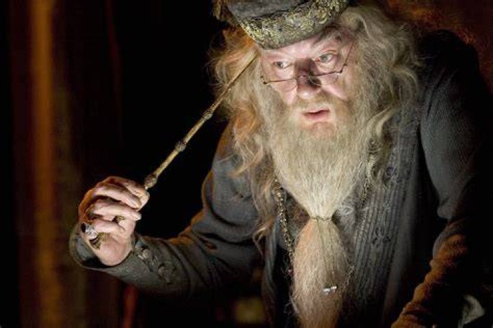 Michael Gambon as Dumbledore
