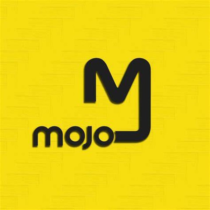 MOJO STORY Net Worth & Earnings (2024)