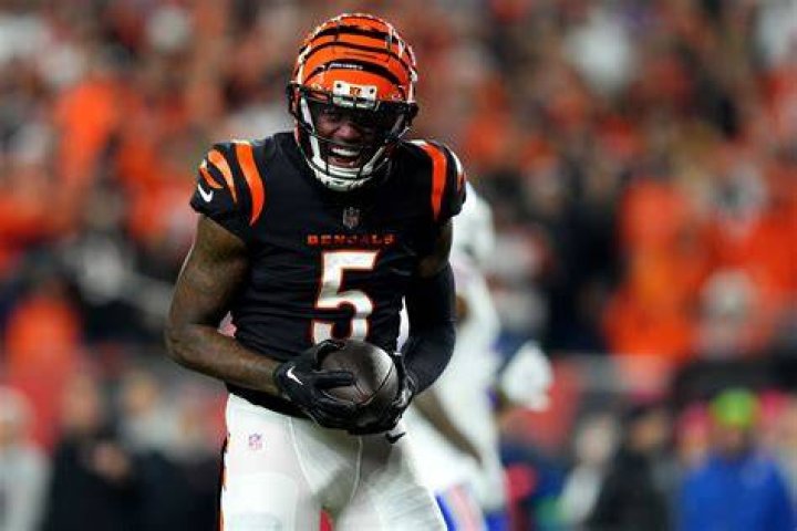 tee higgins contract salary and net worth