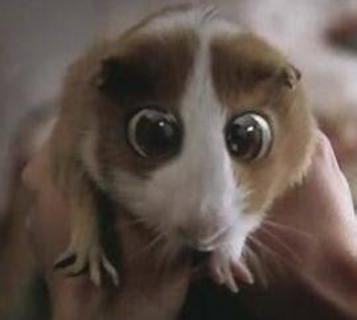 Was Bugsy in Bedtime Stories real?