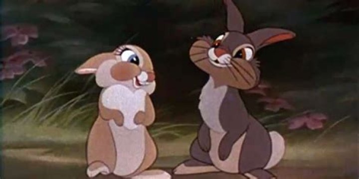 What does Thumper call love?