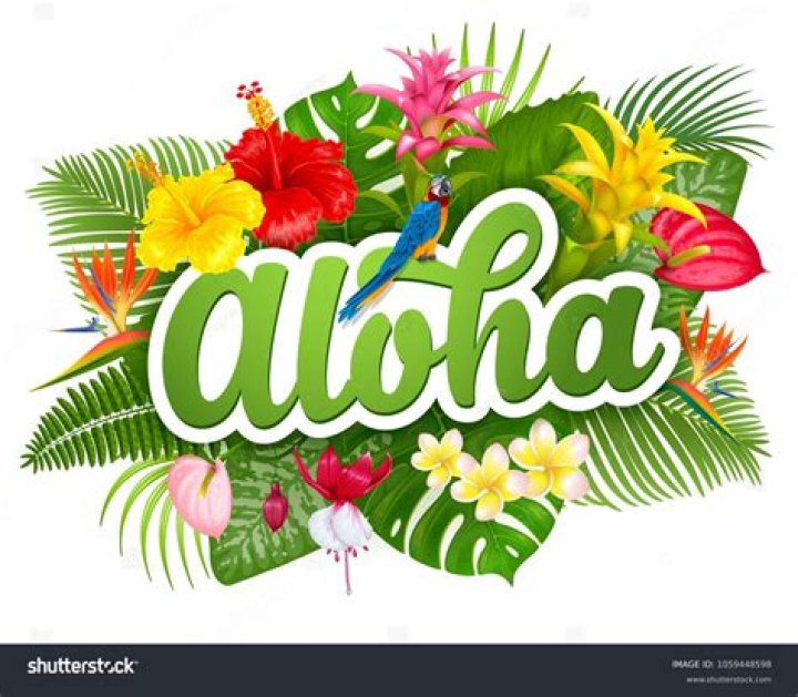 What is aloha E?