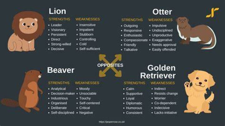 What is an otter personality?
