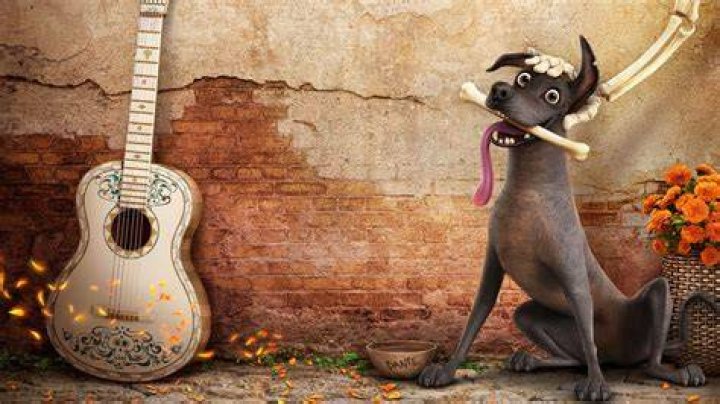 What is Coco Dante?