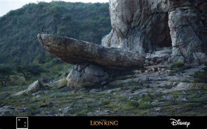 What is Pride Rock based off of?