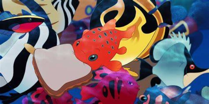 What Is Pudge the fish?