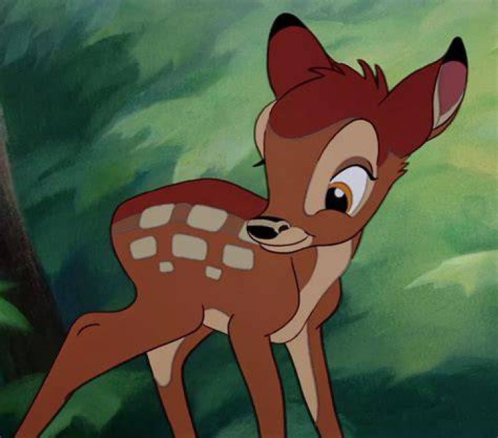 What movie does Bambi grown up?