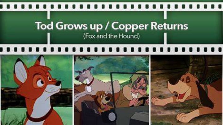 Why did fox and hound close?