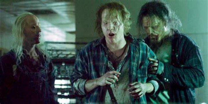 Wrong Turn